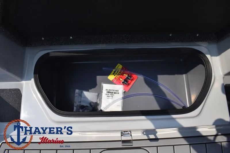 Slide: The Image of Bass Cat Puma STS 2025 - 23