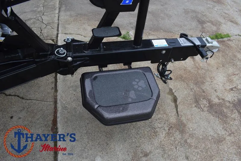 Slide: The Image of Bass Cat Puma STS 2025 - 12