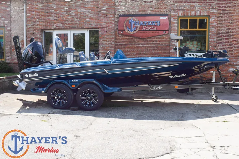 The Image of Bass Cat Caracal STS 2026 - 0