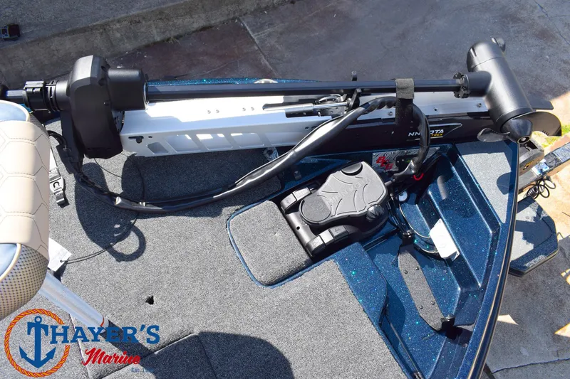 Slide: The Image of Bass Cat Caracal STS 2026 - 11