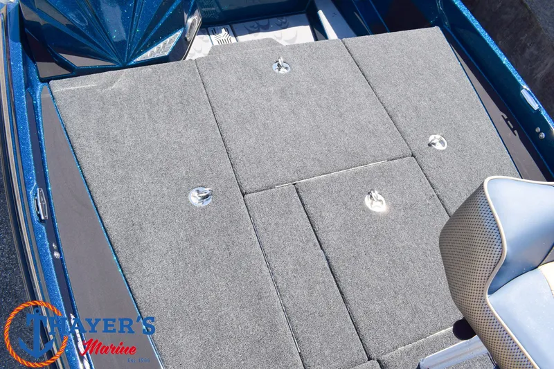 Slide: The Image of Bass Cat Caracal STS 2026 - 14