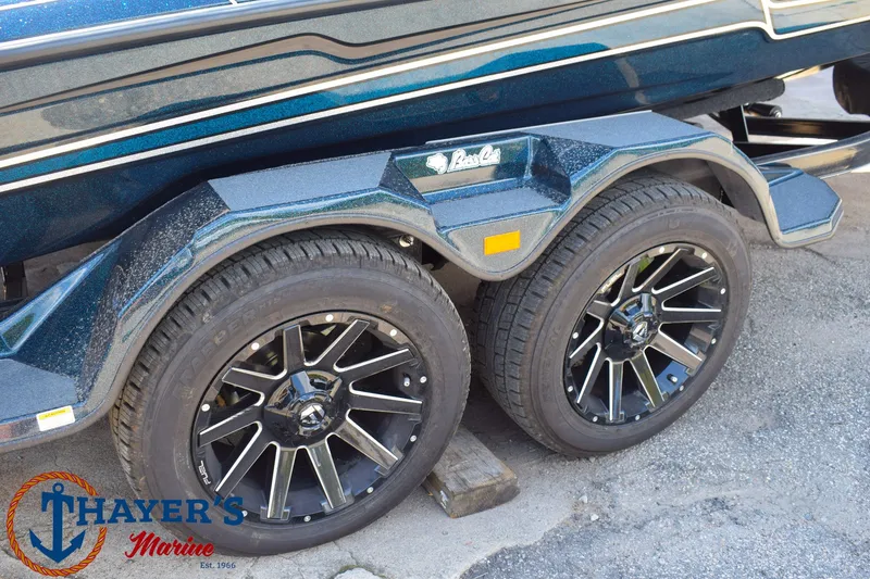 Slide: The Image of Bass Cat Caracal STS 2026 - 4