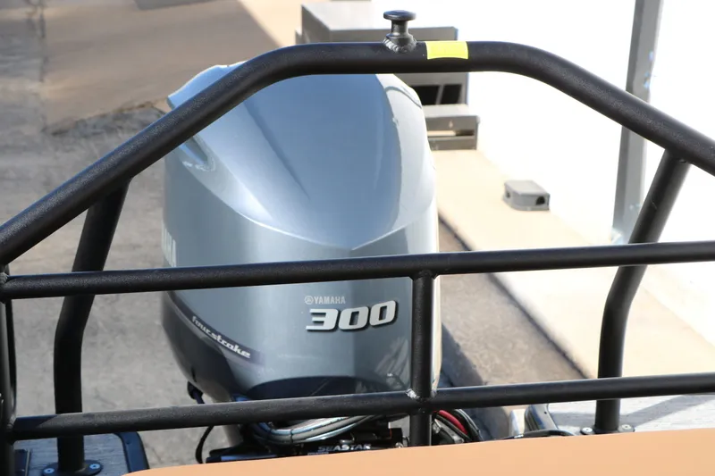 Slide: The Image of Sylvan L3 DLZ Bar Platinum Edition Tri Toon 2026 - 46