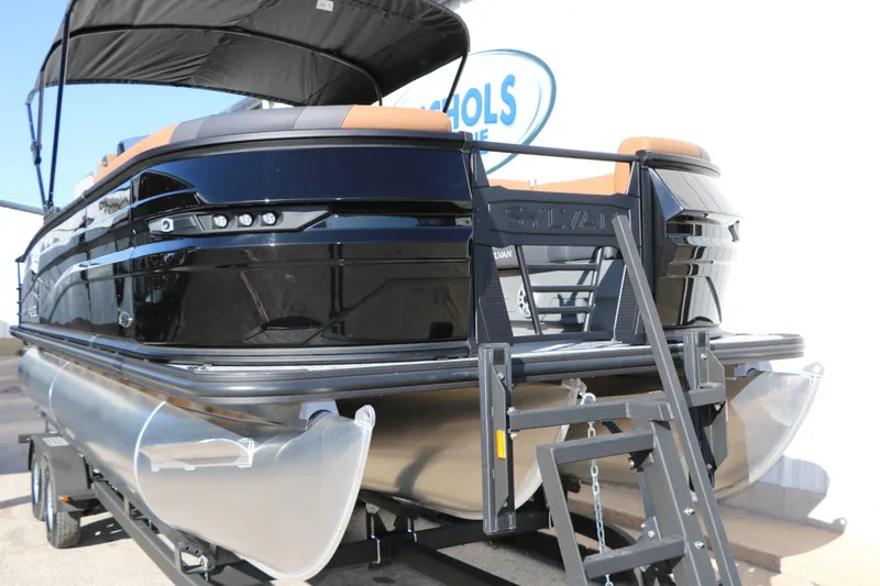 Slide: The Image of Sylvan L3 DLZ Bar Platinum Edition Tri Toon 2026 - 6