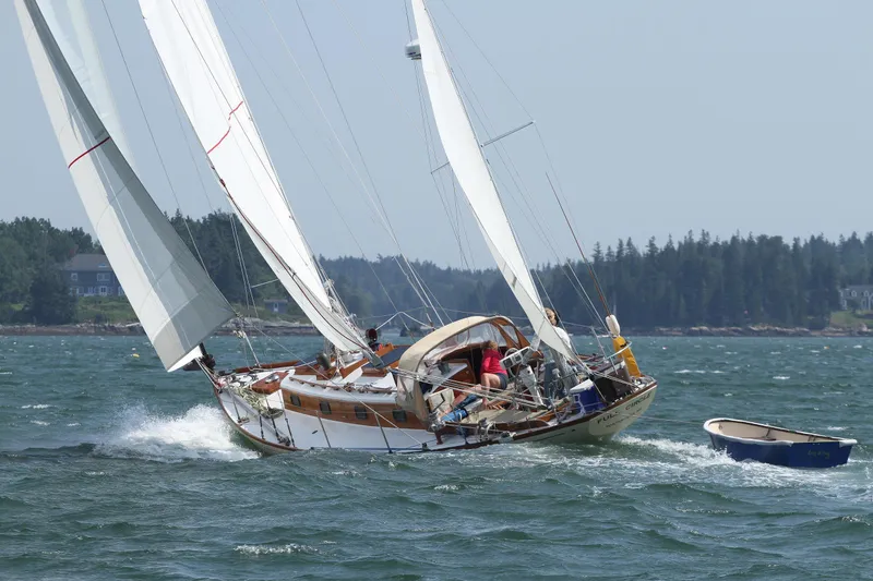 Slide: The Image of 1962 Ted Hood Little Harbor 40 Yawl sailing on a windy day with lush shoreline. - 1