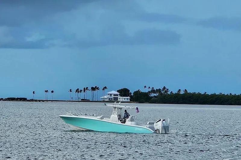 Slide: The Image of 2002 Yellowfin 31 Center Console boat on calm waters near palm-lined shore. - 6