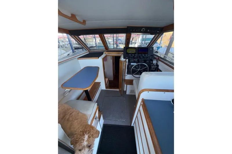 Slide: The Image of Interior of 1997 Norstar 301 boat with steering wheel, seating, and a dog. - 28