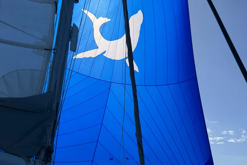Slide: The Image of Blue sail with white bird silhouette on 2019 Saona 47 yacht. - 3
