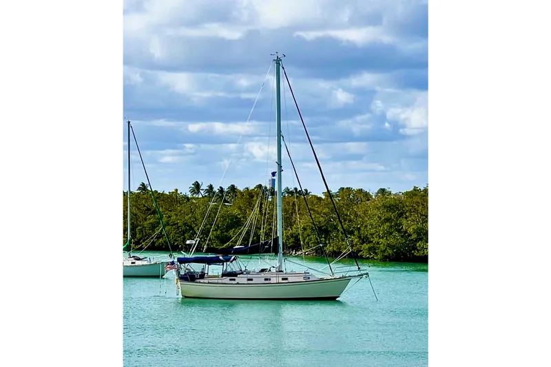 The Image of Sailboat Island Packet 37, 1995 model, anchored in turquoise waters with lush greenery background. - 0