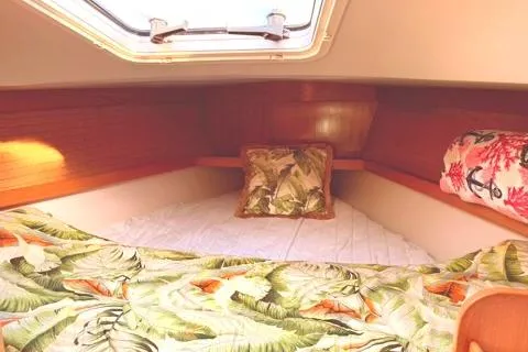 Slide: The Image of Cozy cabin interior of 2004 Catalina 36 MkII sailboat with tropical bedding. - 15