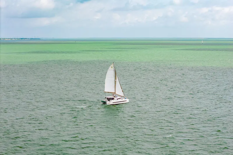 Slide: The Image of Sailing catamaran Bali 4.1, 2019 model, cruising on open sea under clear skies. - 79