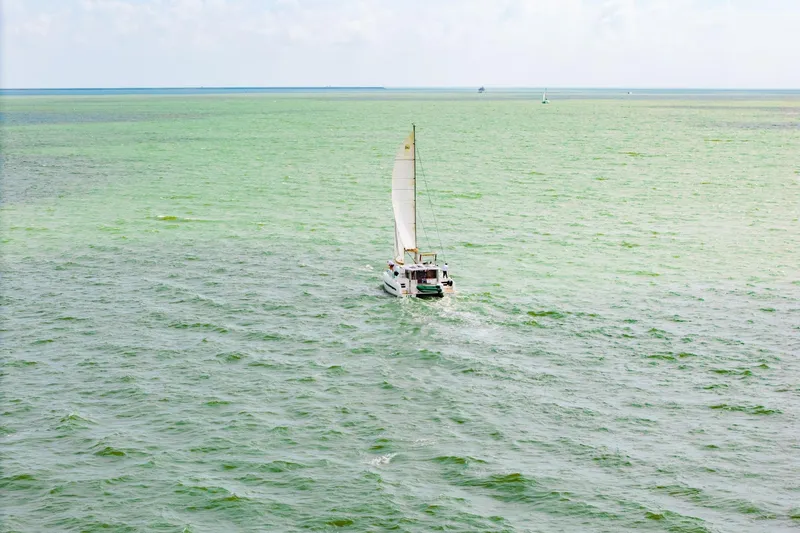 Slide: The Image of Sailing catamaran Bali 4.1 from 2019 on open sea under clear skies. - 81