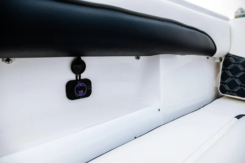 Slide: The Image of 2026 Tidewater 256 LXF boat engine detail with secure lock mechanism. - 35