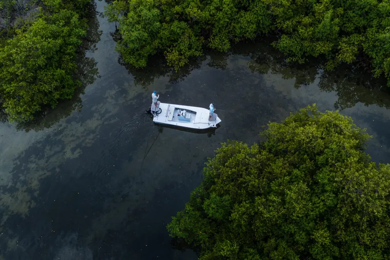 Slide: The Image of Aerial view of 2020 East Cape 18 EVO boat navigating through lush mangroves. - 38