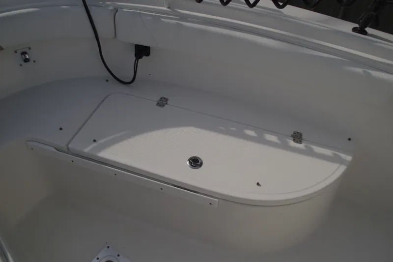 Slide: The Image of 2019 Edgewater 245CC boat storage compartment with secure latch and hinges. - 11