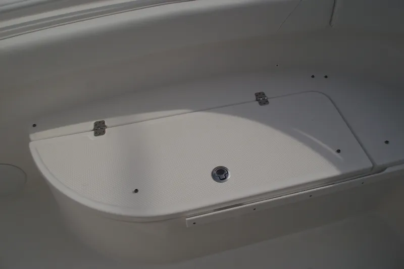Slide: The Image of 2019 Edgewater 245CC boat interior with cushioned seating and storage compartments. - 9