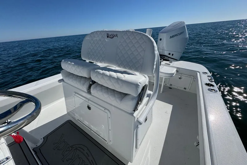Slide: The Image of 2026 BlackJack 256 Coastal boat with luxurious seating on open water. - 20
