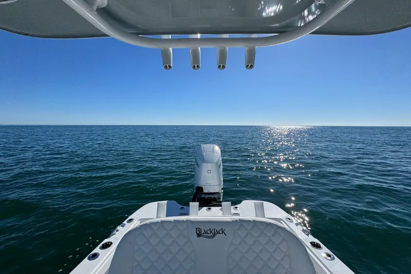 Slide: The Image of BlackJack 256 Coastal boat on open sea, 2026 model, under clear blue sky. - 22