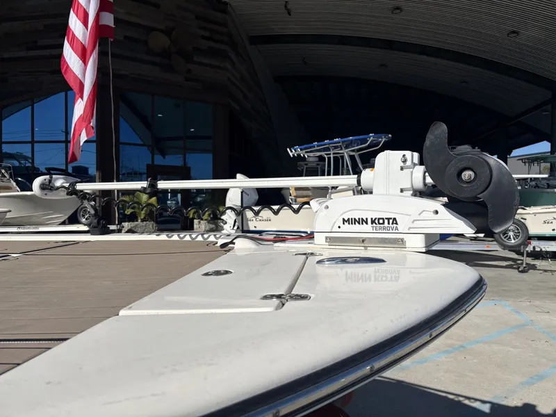 Slide: The Image of Sea Born FX24 Bay 2021 - 16