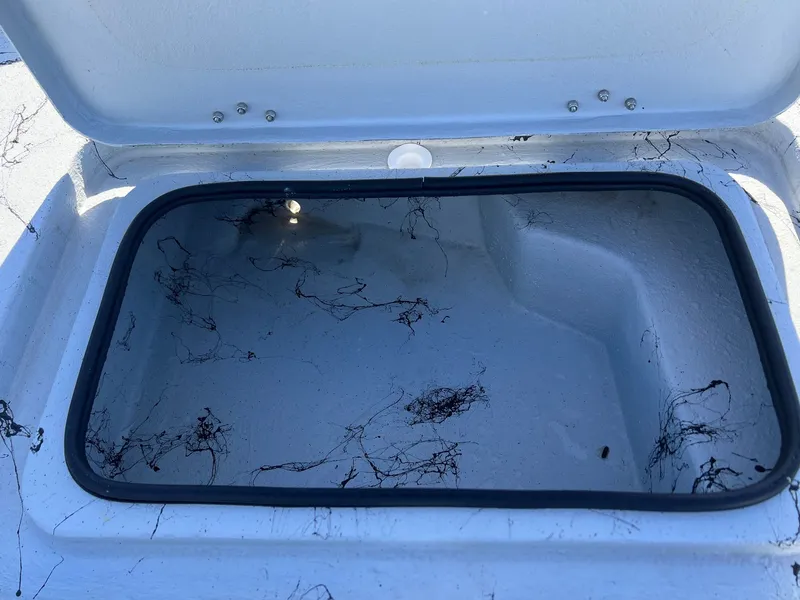 Slide: The Image of Shoalwater 21 Cat 2026 - 23