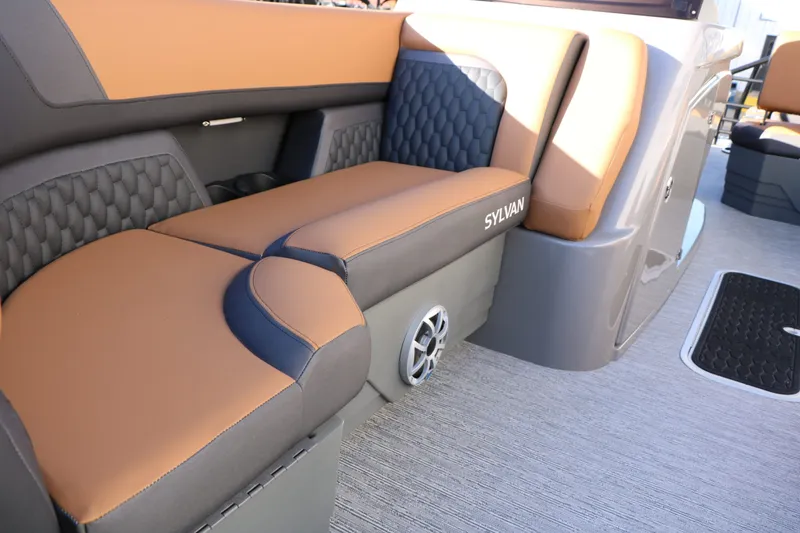 Slide: The Image of Sylvan L3 DLZ Platinum Edition Tri Toon 2026 - 24