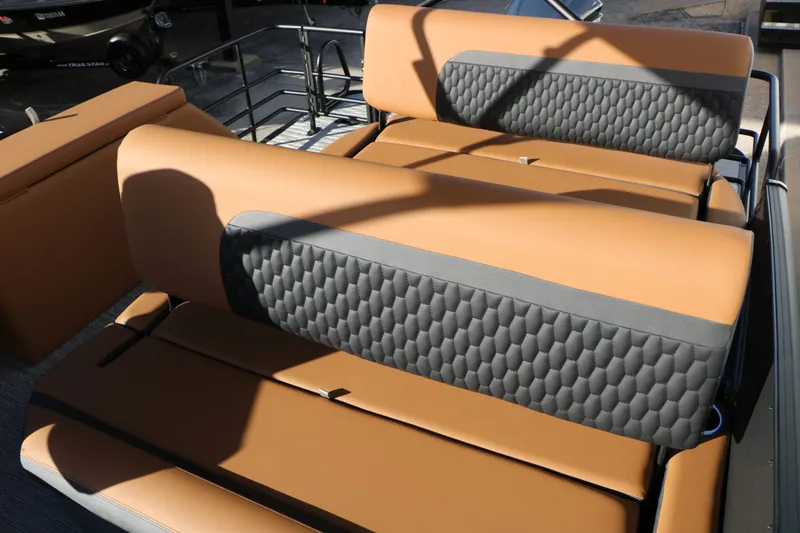 Slide: The Image of Sylvan L3 DLZ Platinum Edition Tri Toon 2026 - 37