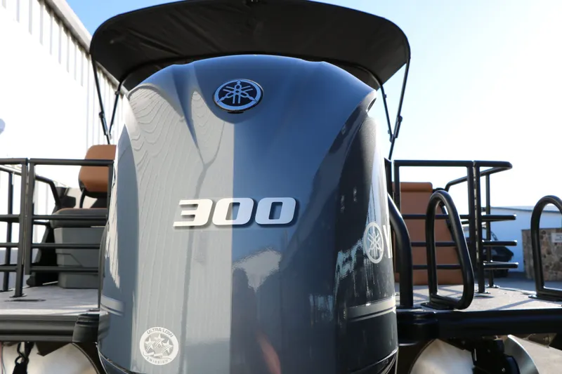 Slide: The Image of Sylvan L3 DLZ Platinum Edition Tri Toon 2026 - 9