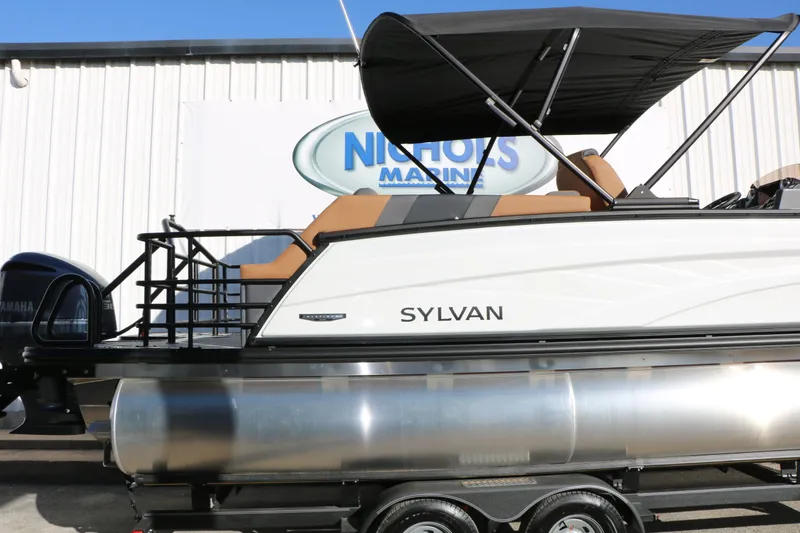 Slide: The Image of Sylvan L3 LZ DH Platinum Edition Tri Toon 2026 - 12