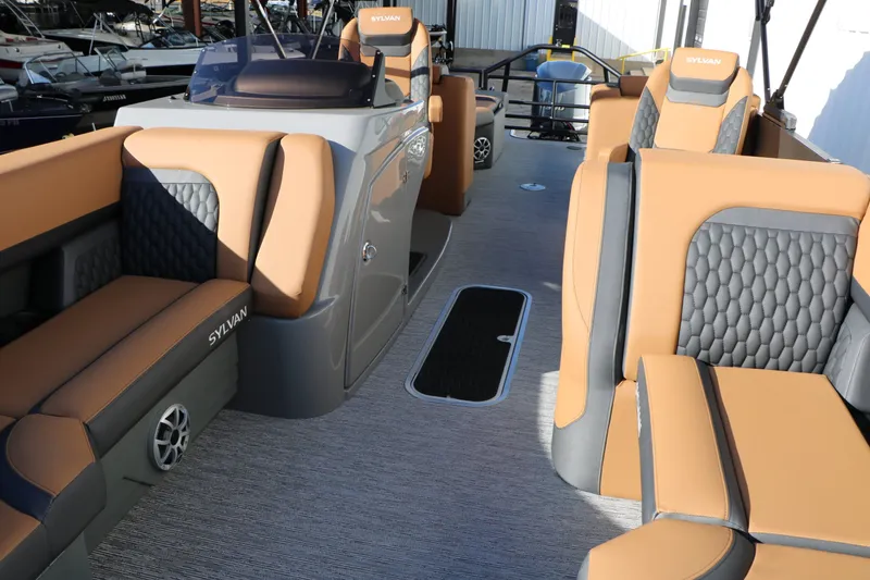 Slide: The Image of Sylvan L3 LZ DH Platinum Edition Tri Toon 2026 - 24