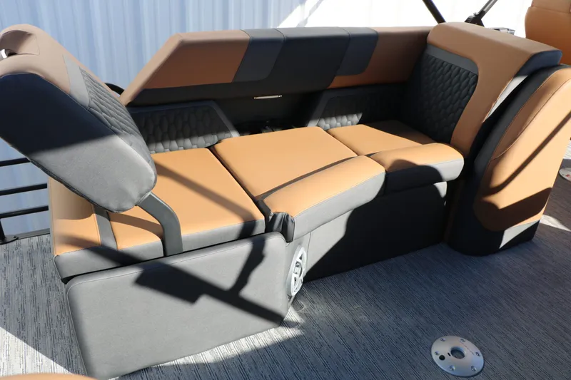 Slide: The Image of Sylvan L3 LZ DH Platinum Edition Tri Toon 2026 - 30