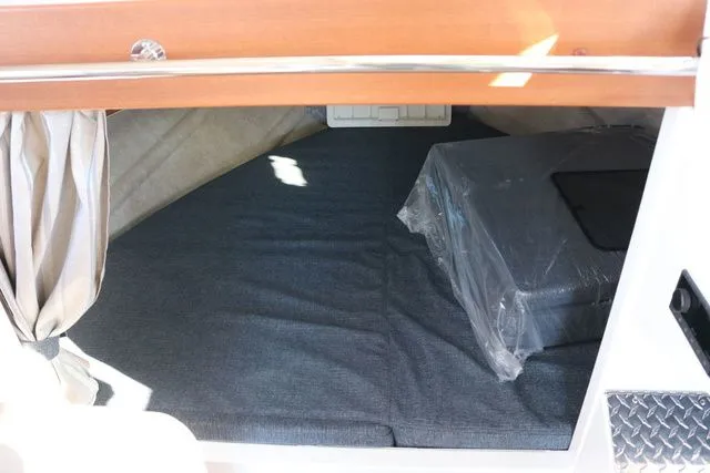 Slide: The Image of Kingfisher GFX 3425 2026 - 43