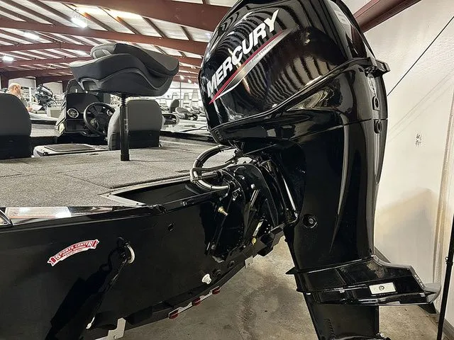 Slide: The Image of Lowe Stinger 175C 2026 - 10