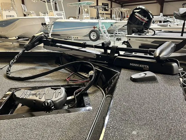 Slide: The Image of Lowe Stinger 175C 2026 - 3