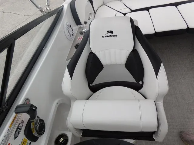 Slide: The Image of Stingray 231 DC 2026 - 15