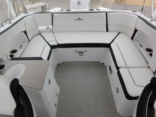 Slide: The Image of Stingray 231 DC 2026 - 22