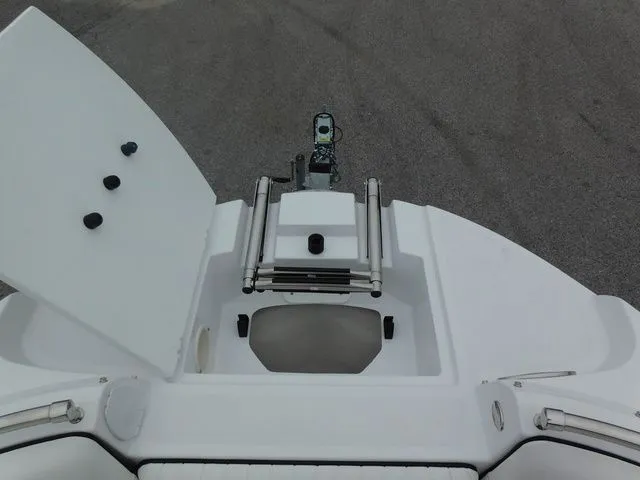 Slide: The Image of Stingray 231 DC 2026 - 24