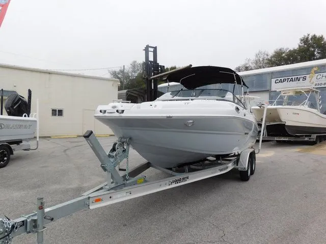 Slide: The Image of Stingray 231 DC 2026 - 3