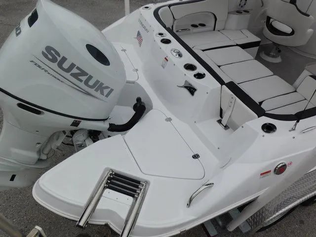 Slide: The Image of Stingray 231 DC 2026 - 8