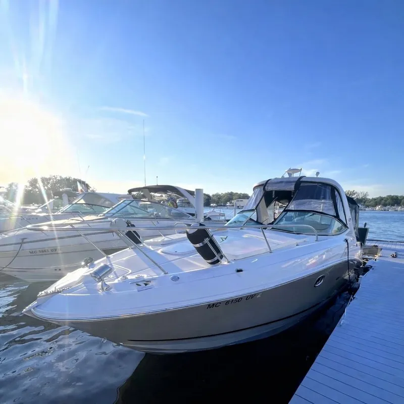 The Image of Sea Ray Sundancer 310 2010 - 0