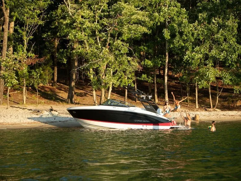 Slide: The Image of Regal LS4 Surf 2026 - 7