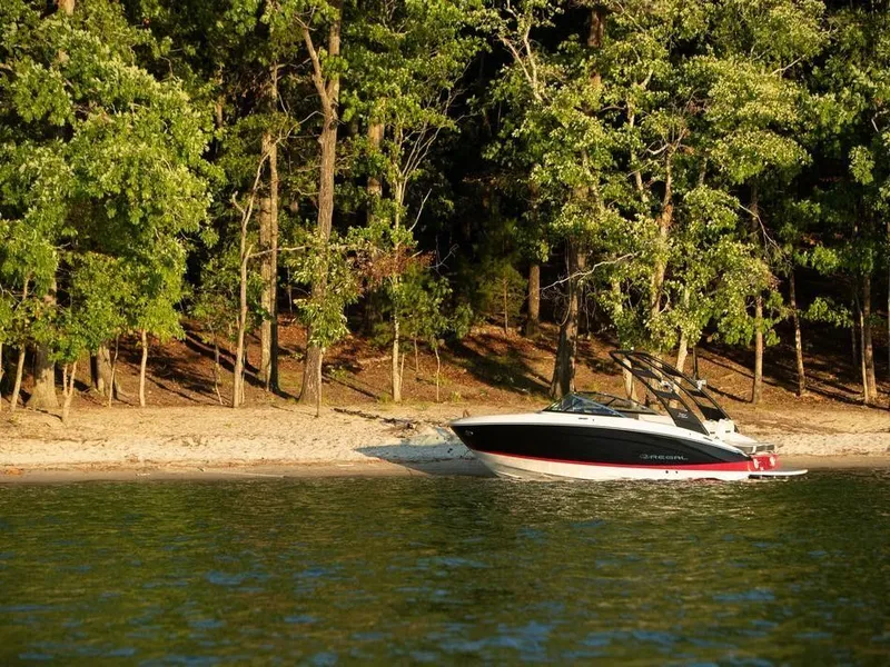 Slide: The Image of Regal LS4 Surf 2026 - 8