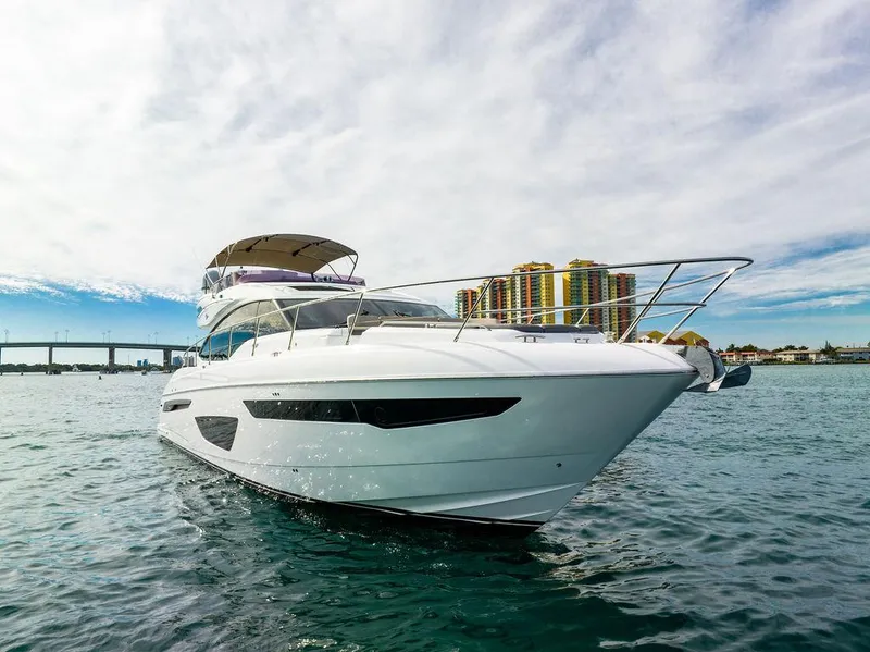 Slide: The Image of Princess 65 - Exterior Profile - 35