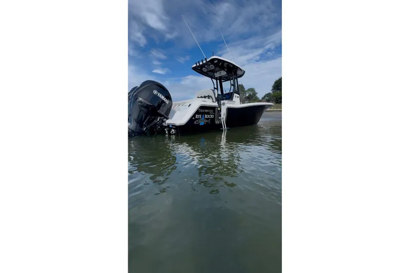 The Image of 2024 Tidewater 256 LXF boat with Yamaha engine on calm water under blue sky. - 0
