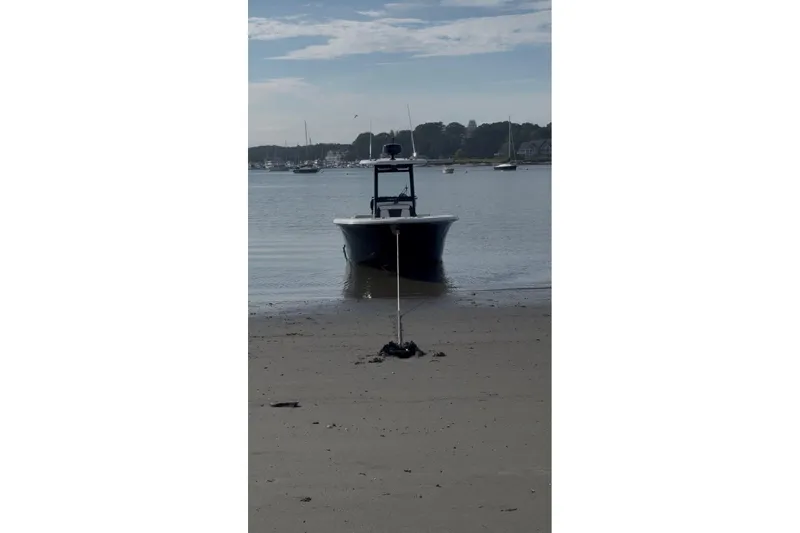 Slide: The Image of 2024 Tidewater 256 LXF boat anchored on a sandy beach with scenic background. - 2