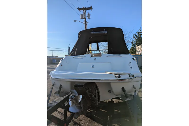 Slide: The Image of 2019 Stingray 250 CR boat, rear view with black canopy, on trailer. - 3