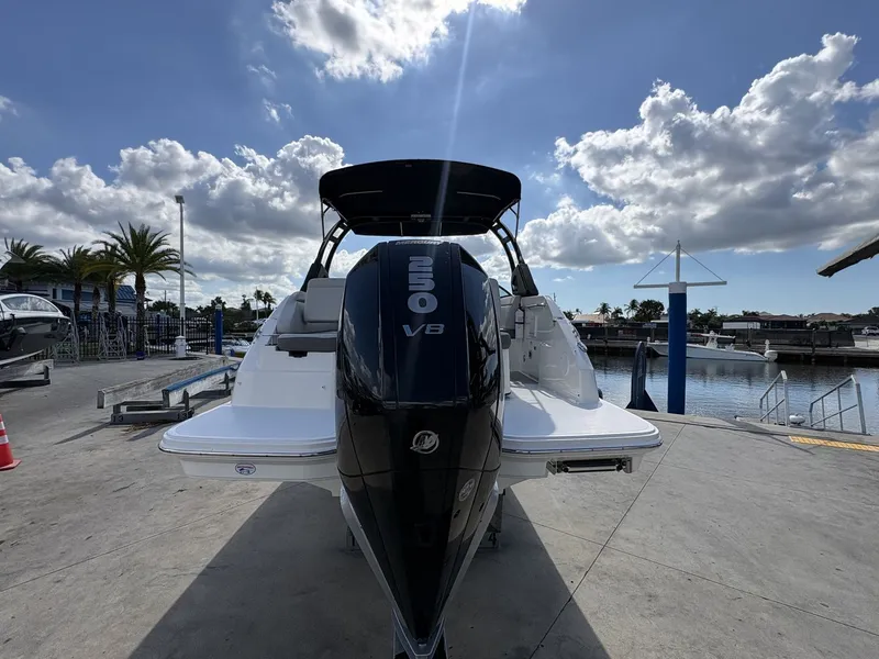 Slide: The Image of Sea Ray SDX 250 Outboard 2024 - 12