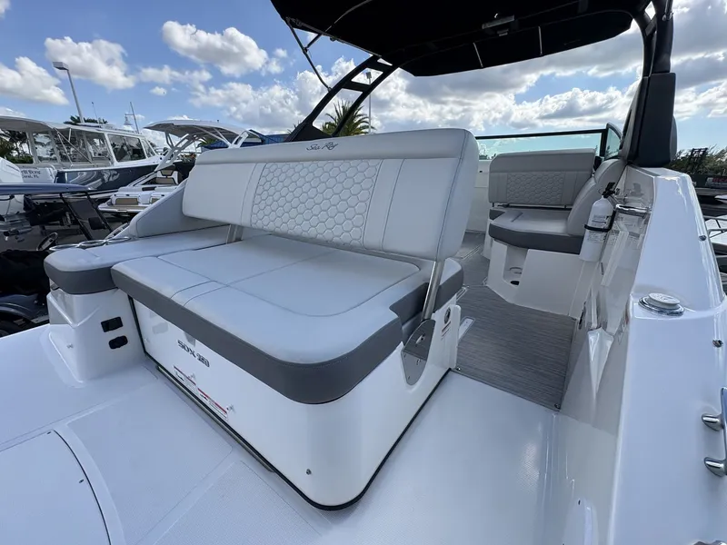 Slide: The Image of Sea Ray SDX 250 Outboard 2024 - 19