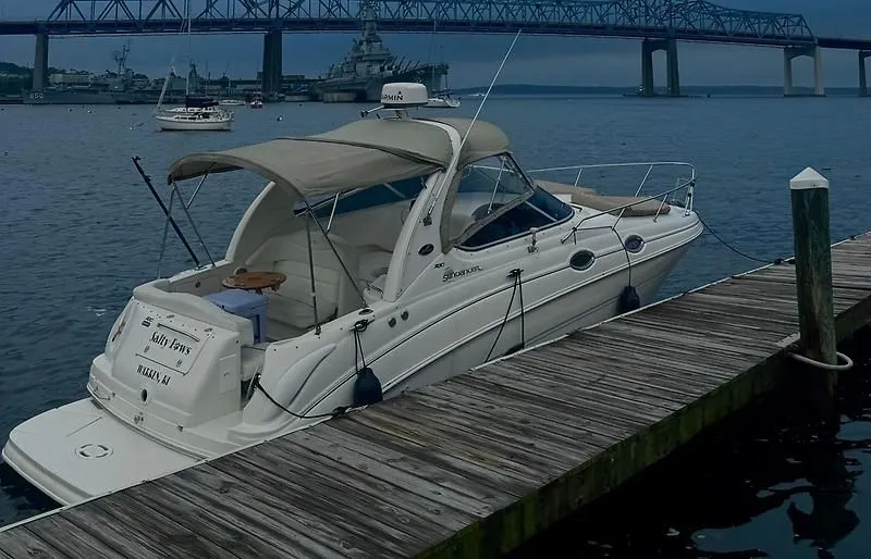 Slide: The Image of Sea Ray Sundancer 2002 - 2