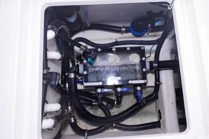 Slide: The Image of 2023 Invincible 35 Catamaran plumbing system with labeled baitwell connections. - 39