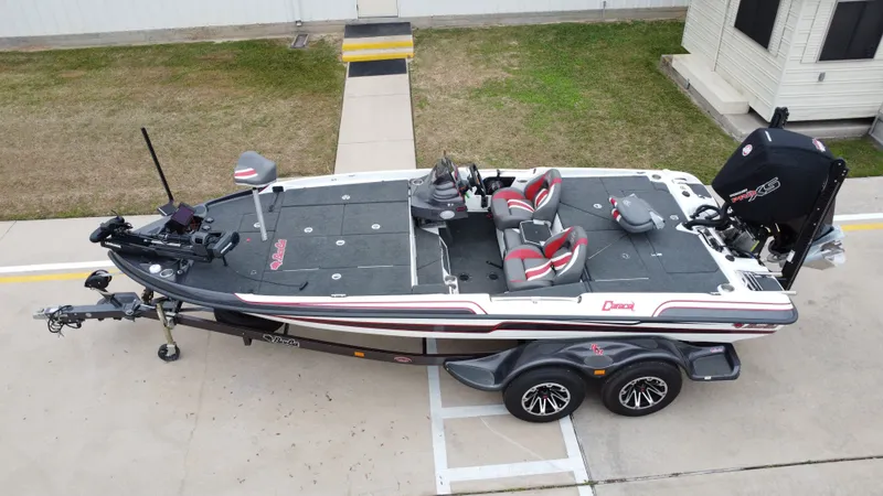 Slide: The Image of Bass Cat Caracal 2021 - 12